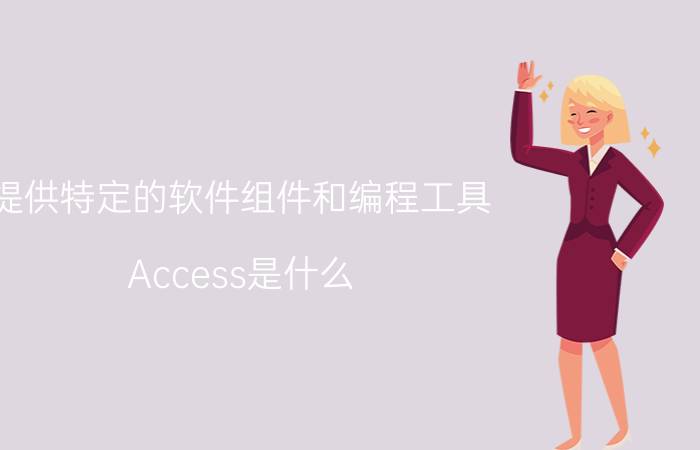 提供特定的软件组件和编程工具 Access是什么？